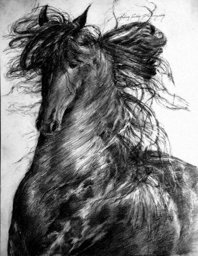 Drawing Artist Halina Guźda-Otwinowska